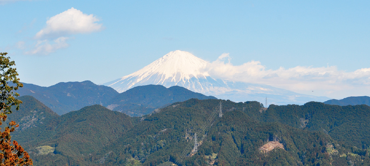 素材にこだわる