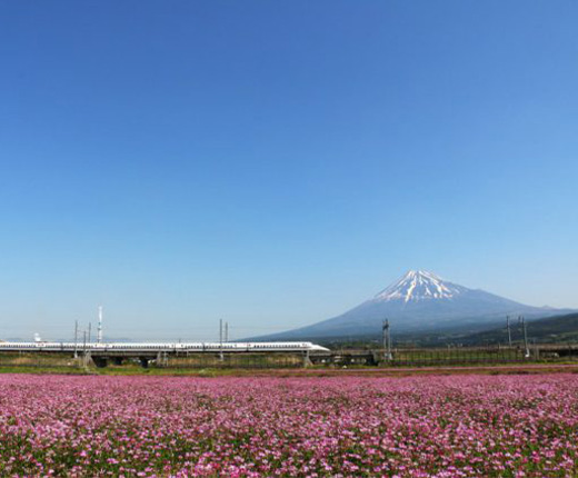 【静岡移住なら】『富士市』に移住すべき４つの理由【富士市だら！】
