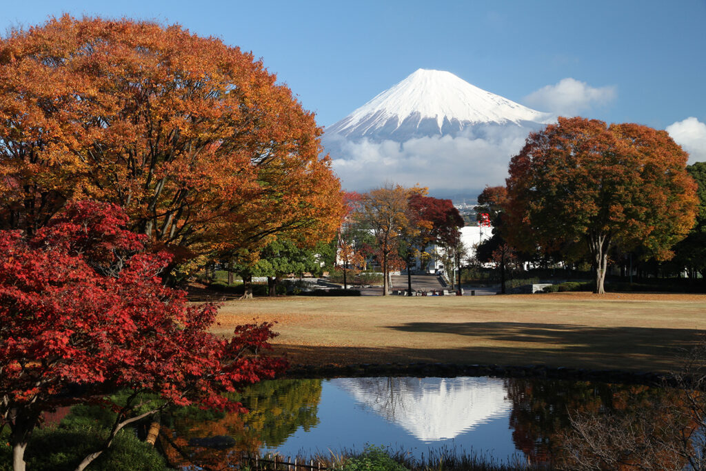 中央公園の紅葉と富士山