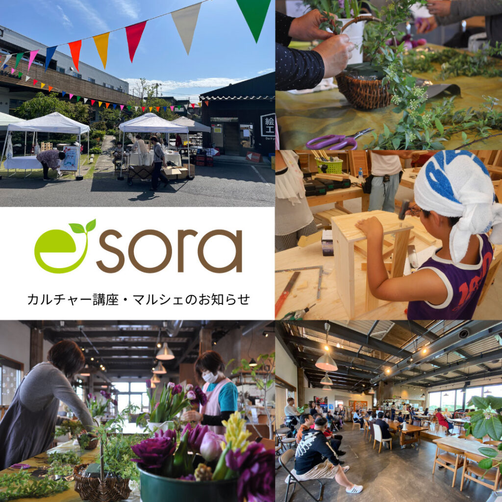 🌱エコフィールドで遊ぶ・学ぶ『Eco Lab.』