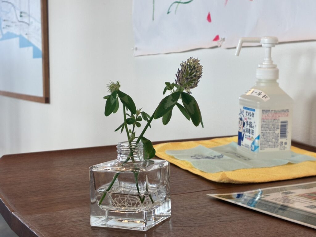 「良かれと思って」が逆効果？！　胡蝶蘭復活プロジェクト始動🌱