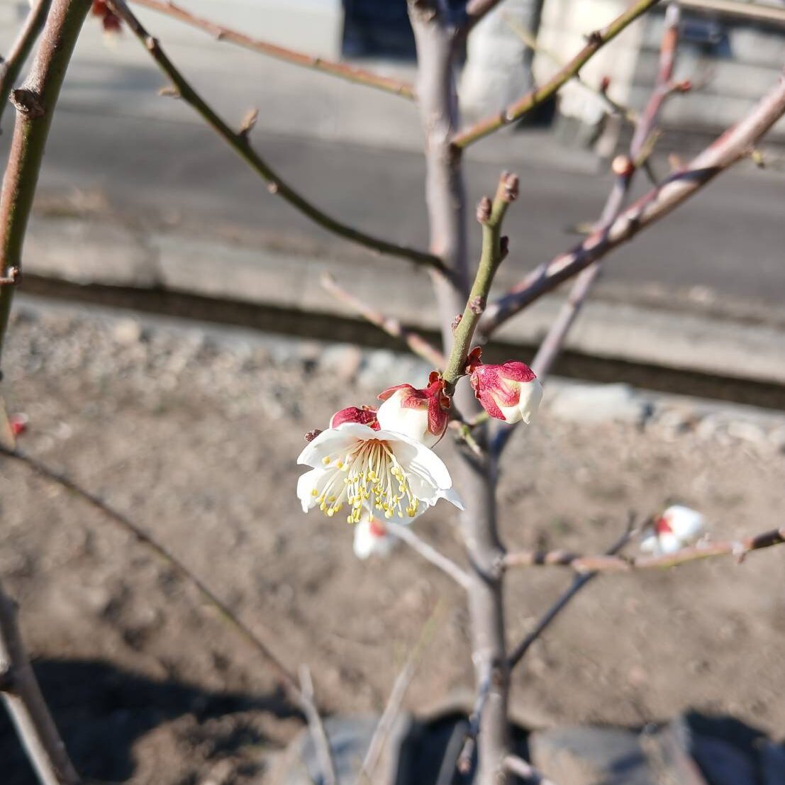 「使いやすい」には理由がある！収納の有効寸法とちょっとした工夫💡