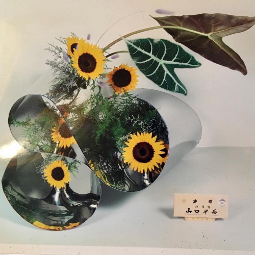 【🌱esora講座】伝統美にふれて日々の暮らしに潤いを♪生け花入門