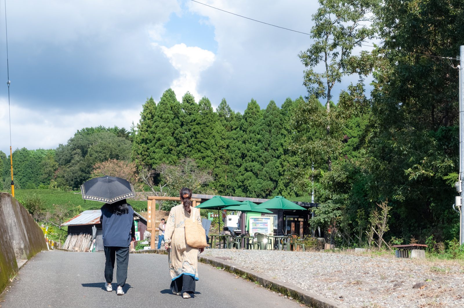 大渕笹場へ向かう道