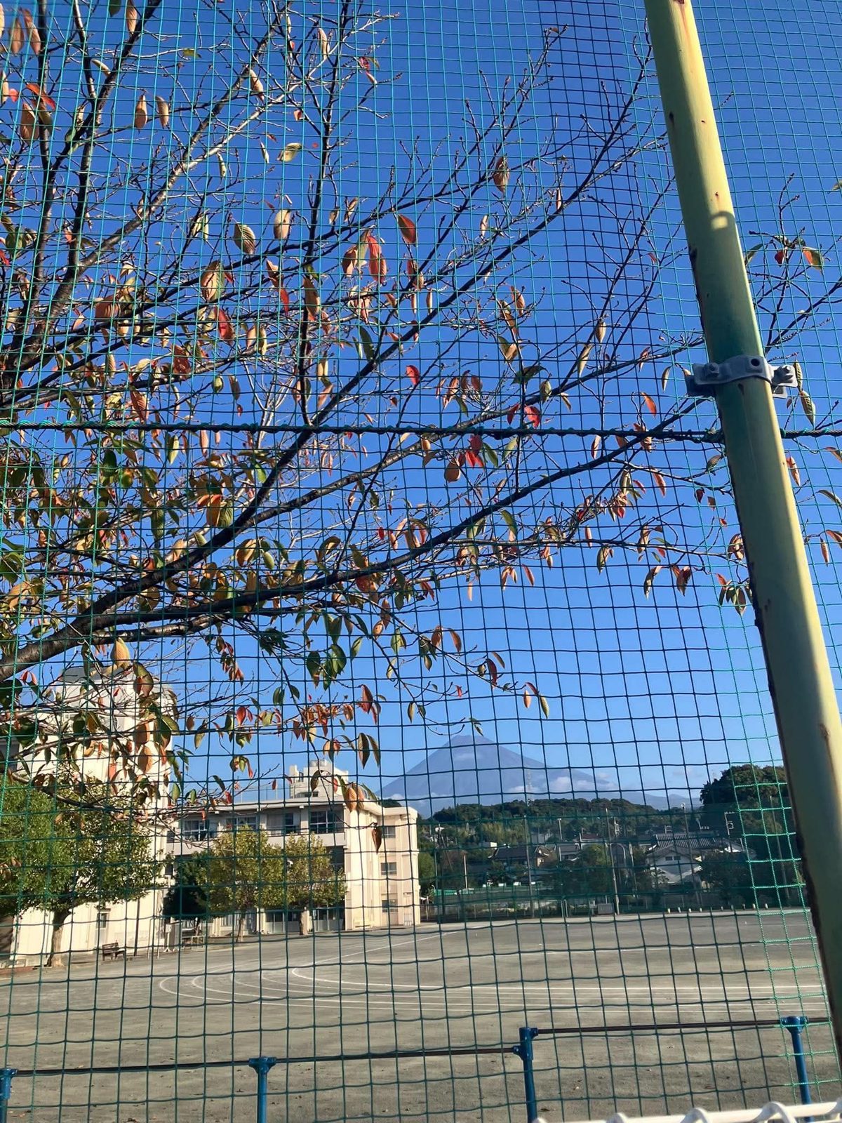 小学校のフェンス越しに、富士山