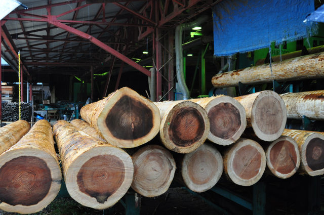 世界中で木材が足りない…危機